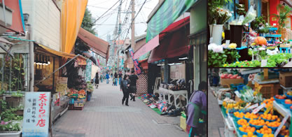 ���쓇���X�X