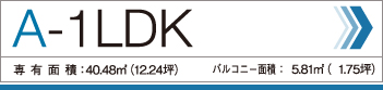 A-1LDK