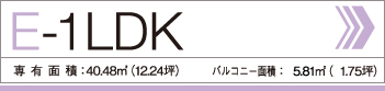 E-1LDK