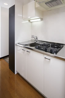 �L�b�`���iD�^�C�v�j