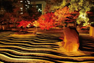 博多ライトアップウォーク