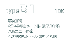 typeB1