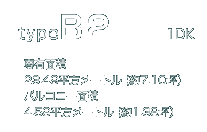 typeB2