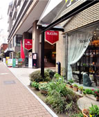 赤坂けやき通り